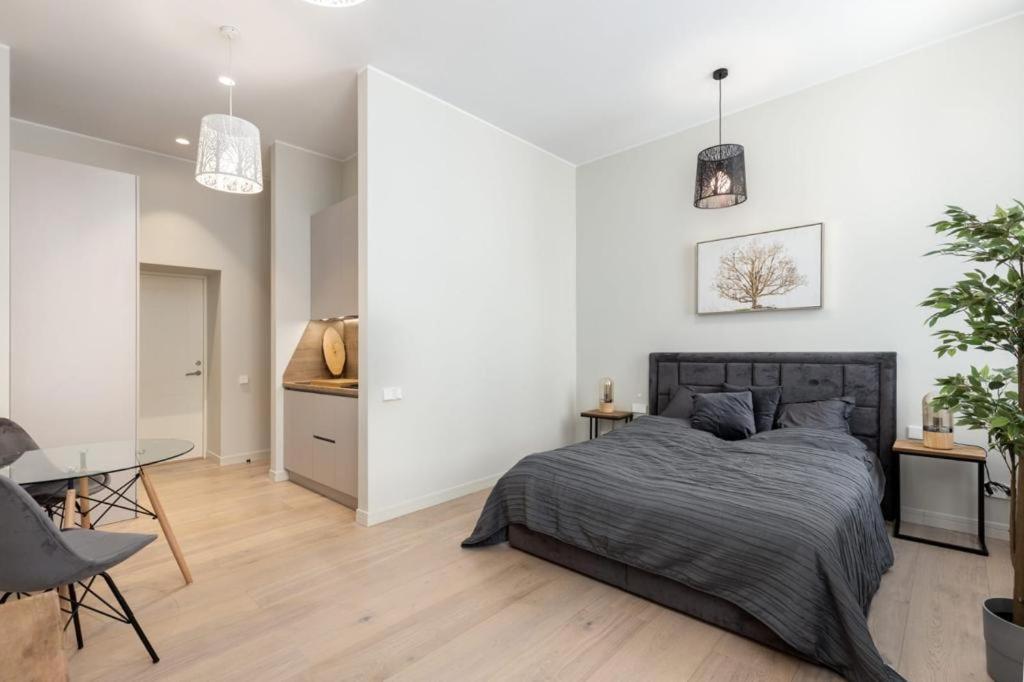 Kalnina Street Studio Apartment Riga Eksteriør billede