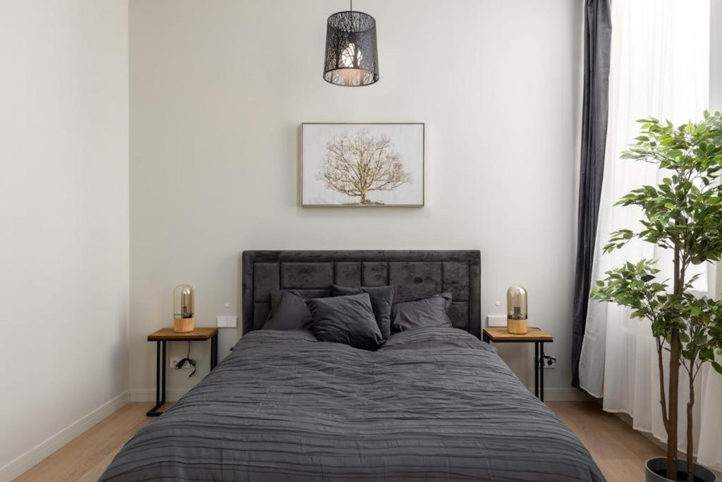 Kalnina Street Studio Apartment Riga Eksteriør billede