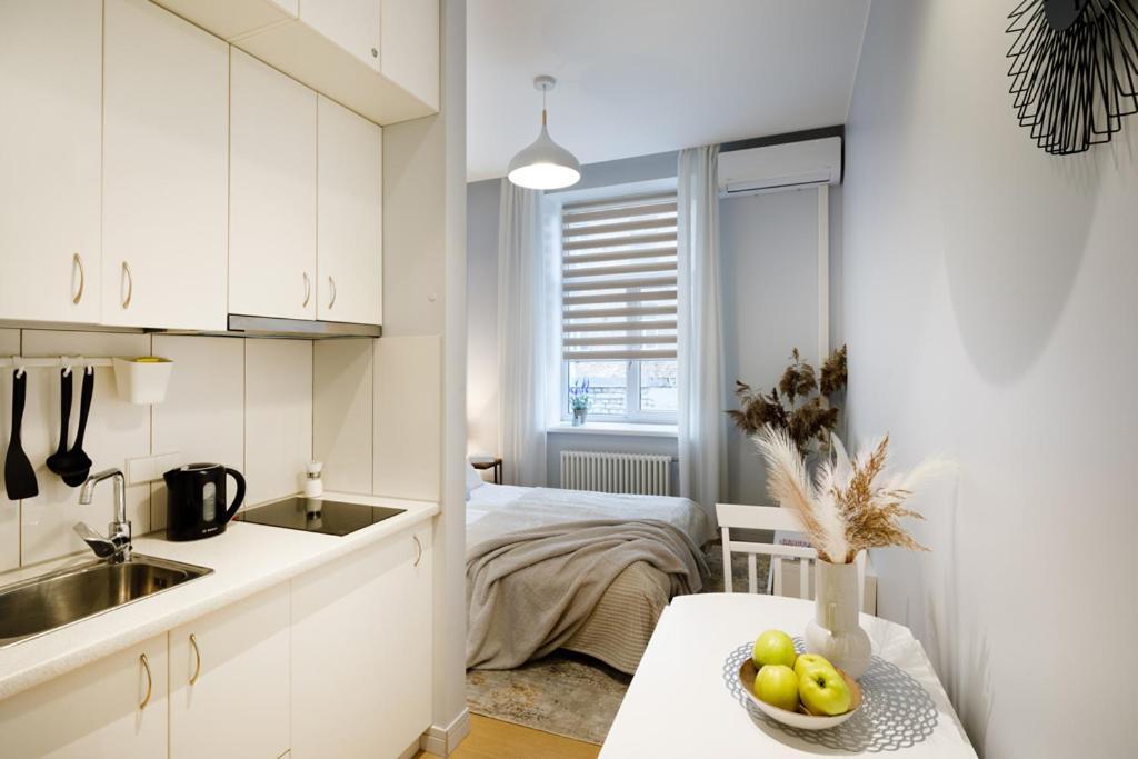 Kalnina Street Studio Apartment Riga Eksteriør billede